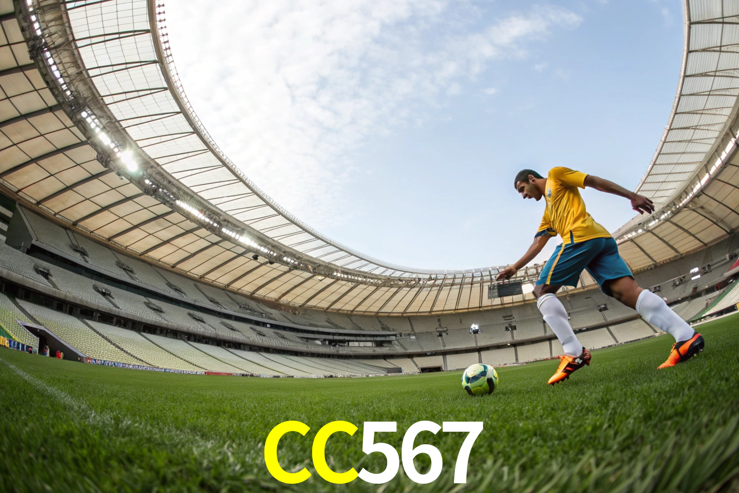 apostas esportivas