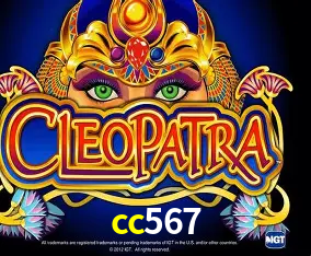 APP oficial da cc567 para mobile